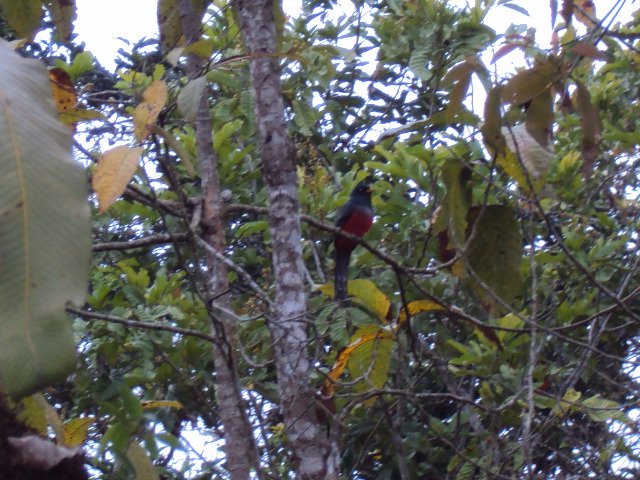 Flora y Fauna